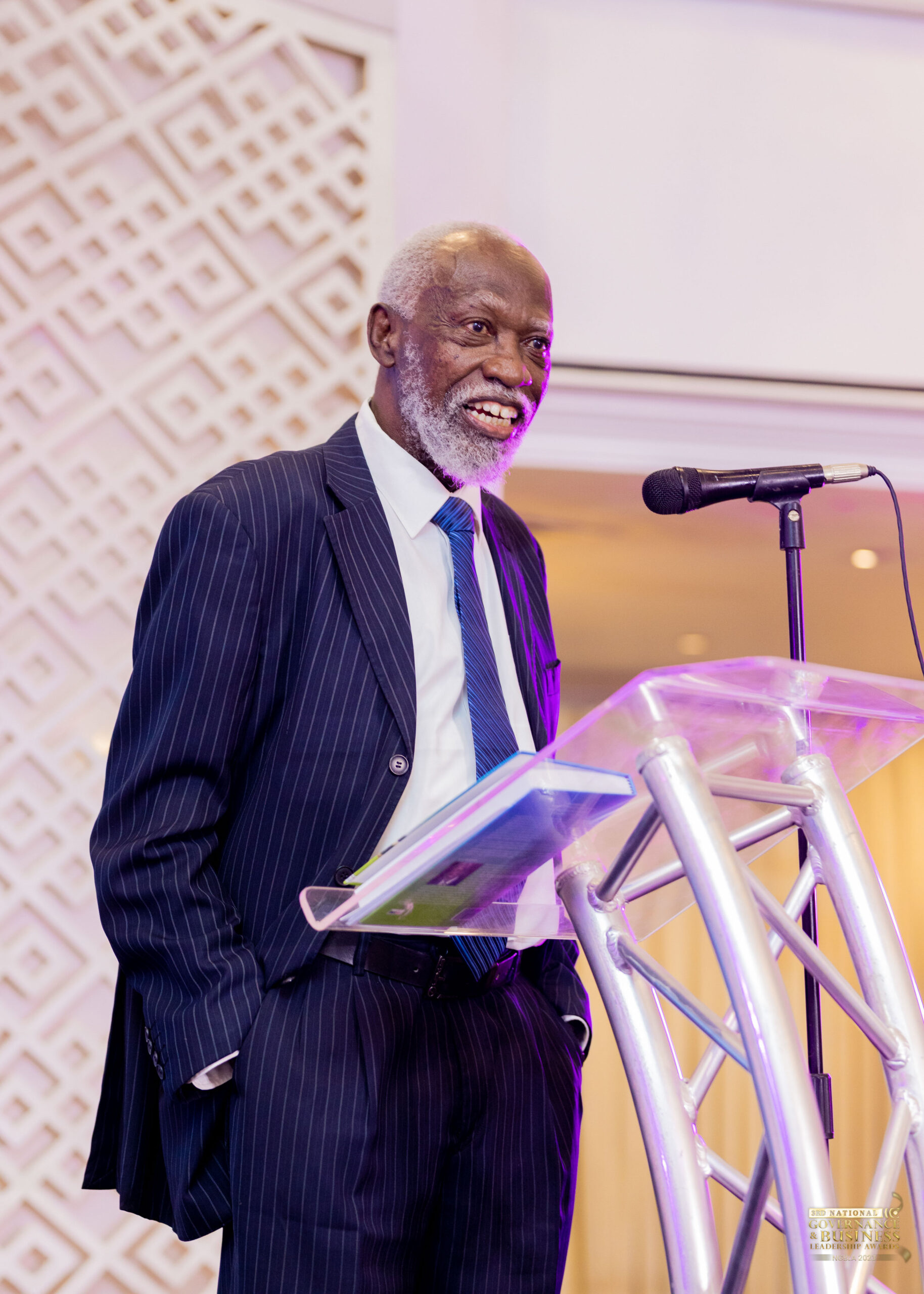 Professor Emeritus Stephen Adei